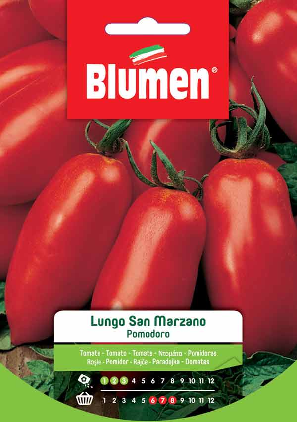 SEMI POMODORO LUNGO SAN MARZANO