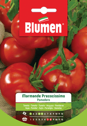 SEMI DI POMODORO MARMANDE PRECOCISSIMO