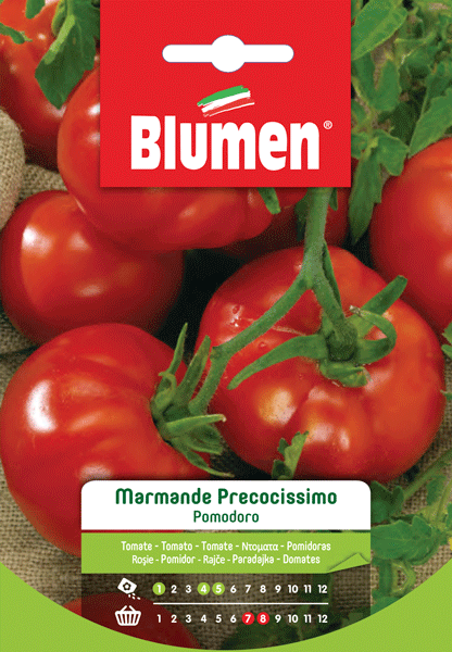 SEMI DI POMODORO MARMANDE PRECOCISSIMO