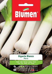 SEMI PORRO GIGANTE BIANCO