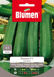 SEMI ZUCCHINO DIAMANT F1 BLUMEN