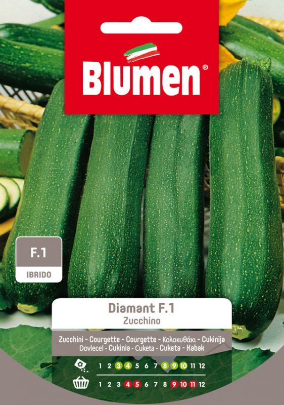 SEMI ZUCCHINO DIAMANT F1 BLUMEN