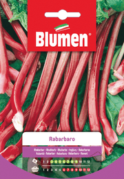 SEMI DI RABARBARO