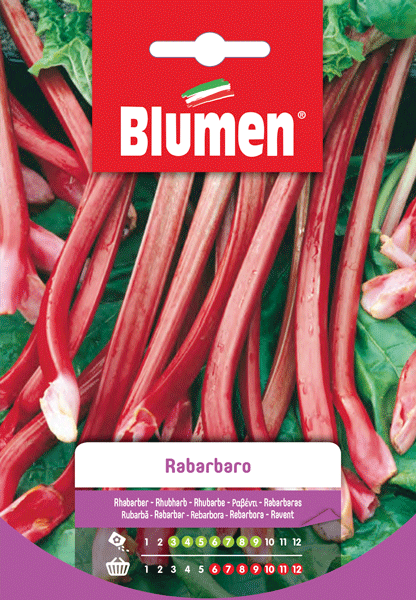 SEMI DI RABARBARO