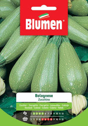 SEMI ZUCCHINO BOLOGNESE BLUMEN