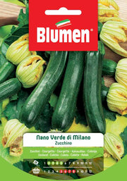 SEMI ZUCCHINO NANO VERDE DI MILANO