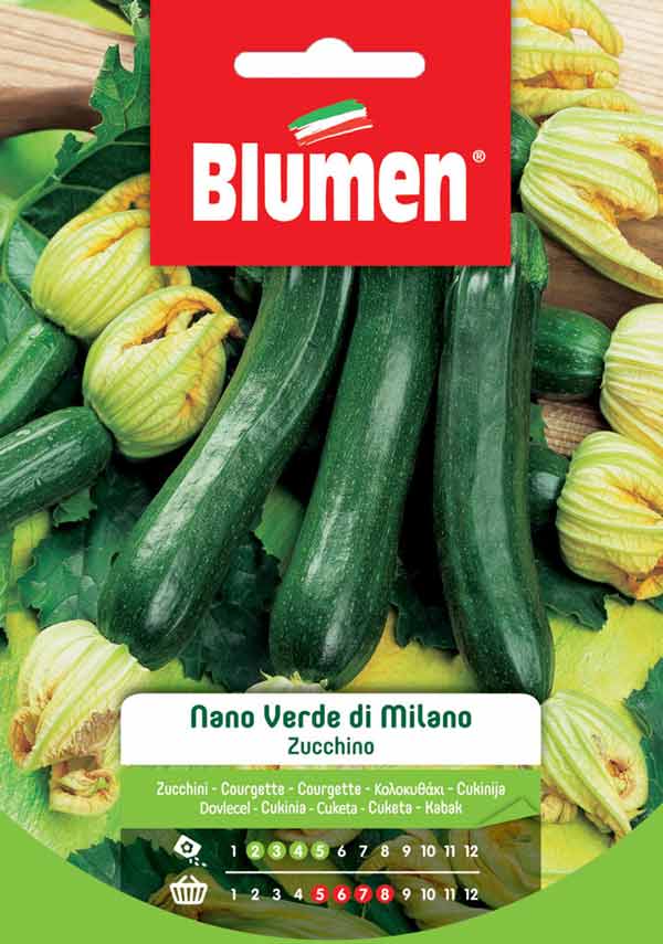 SEMI ZUCCHINO NANO VERDE DI MILANO
