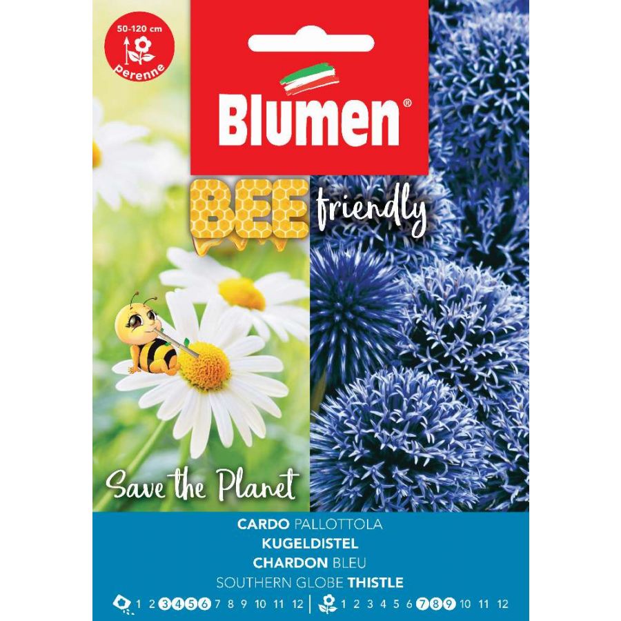 SEMI CARDO PALLOTTOLA ECHINOPS RITRO