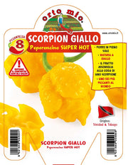 3 PIANTE IN VASO Ø10CM DI PEPERONCINO TRINIDAD SCORPION GIALLO