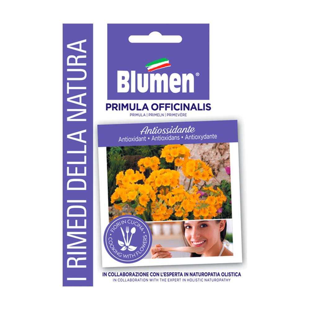 SEMI PRIMULA OFFICINALIS BLUMEN