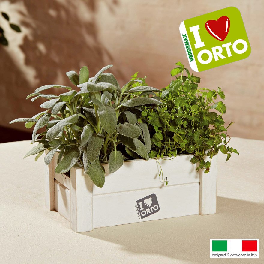 EASY ORTO MENTA E SALVIA