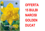 OFFERTA 15 BULBI NARCISO DOUBLE GOLDEN DUCAT