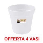 OFFERTA 4 VASO ORCHIDEE GREEN BASICS ORCHID 17CM TRASPARENTE