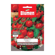 SEMI POMODORO CILIEGIA F1 IBRIDO BLUMEN