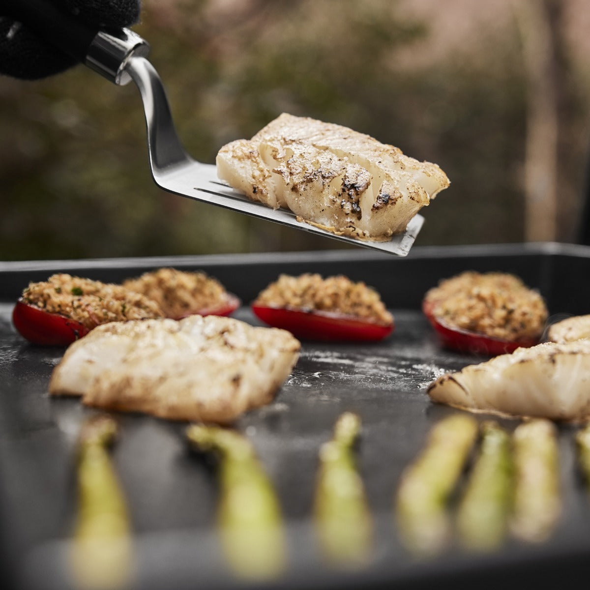 BBQ PIASTRA A GAS PORTATILE PREMIUM SLATE GP DA 56 CM