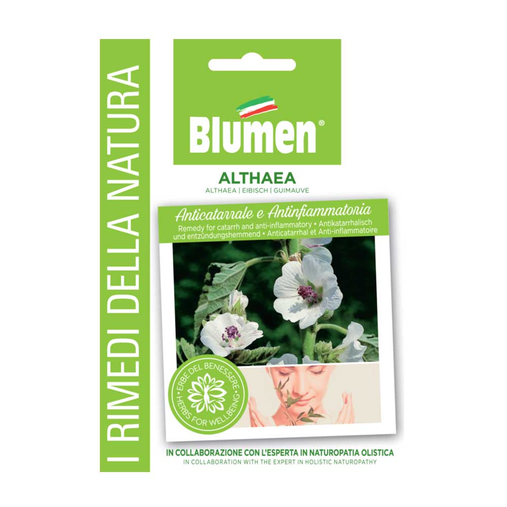 SEMI ALTHEA BLUMEN