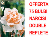 OFFERTA 75 BULBI NARCISO REPLETE