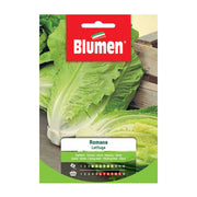 SEMI LATTUGA ROMANA BLUMEN