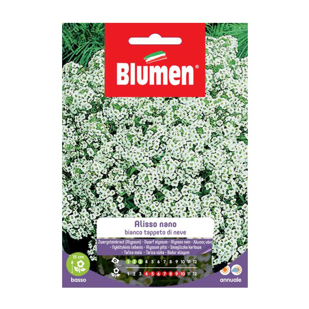 SEMI ALISSO BIANCO NANO TAPPETO NEVE BLUMEN
