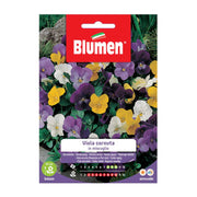SEMI VIOLA CORNUTA MIX BLUMEN