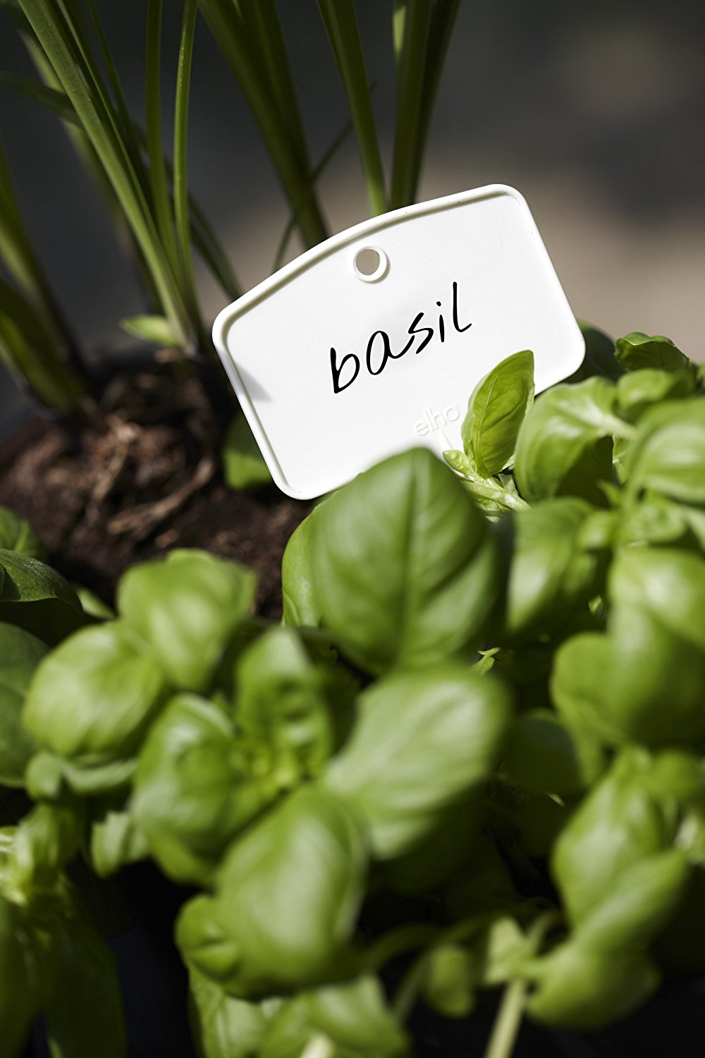 5 ETICHETTE PER VASI GREEN BASICS PLANTLABELS S COLORE A SCELTA