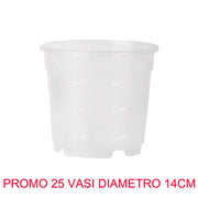 25 VASI PER ORCHIDEE Ø14CM TRASPARENTI