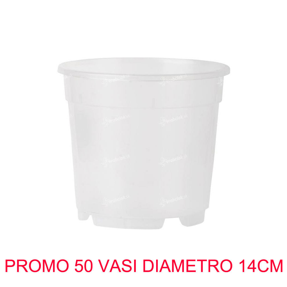50 VASI PER ORCHIDEE Ø14CM TRASPARENTI