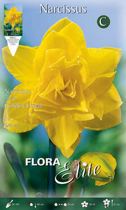 NARCISO DOUBLE GOLDEN DUCAT (CONFEZIONE DA 5 BULBI)