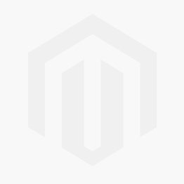 OFFERTA 75 BULBI NARCISO POETICUS ACTAEA