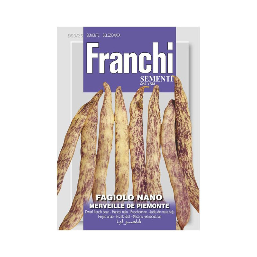 SEMI DI FAGIOLO NANO MERAVIGLIA DEL PIEMONTE FRANCHI SEMENTI
