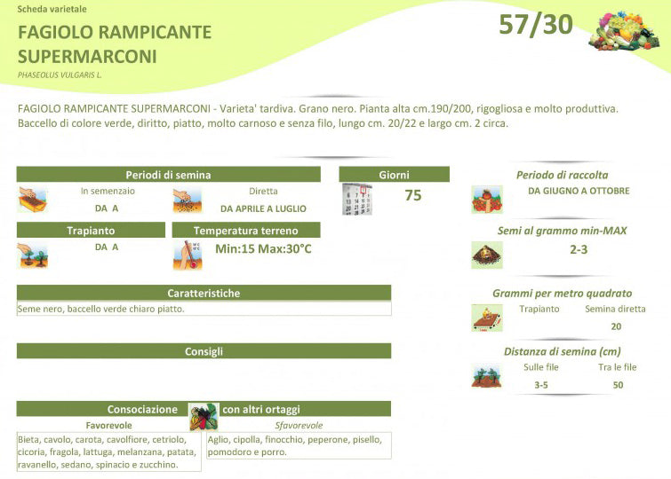 BUSTA SEMI DI FAGIOLO RAMPICANTE SUPERMARCONI 100 GR