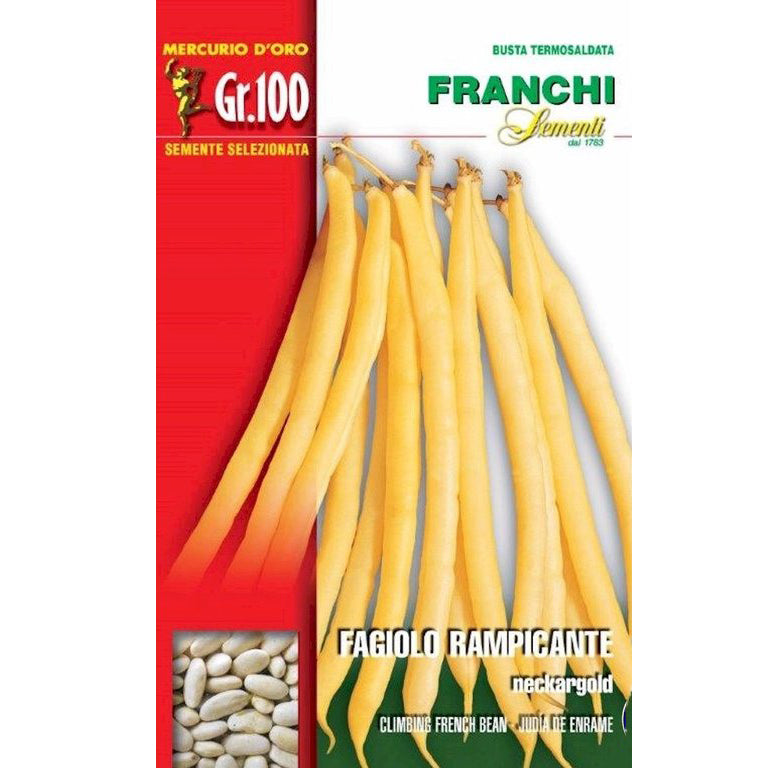 SEMI FAGIOLO RAMPICANTE NECKARGOLD GR.100