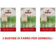 3 CONFEZIONI DI SEMI BIO DI FARRO PER GERMOGLI 80GR