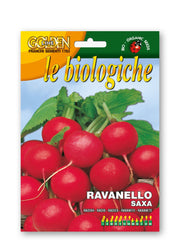 SEMI DI RAVANELLO SAXA