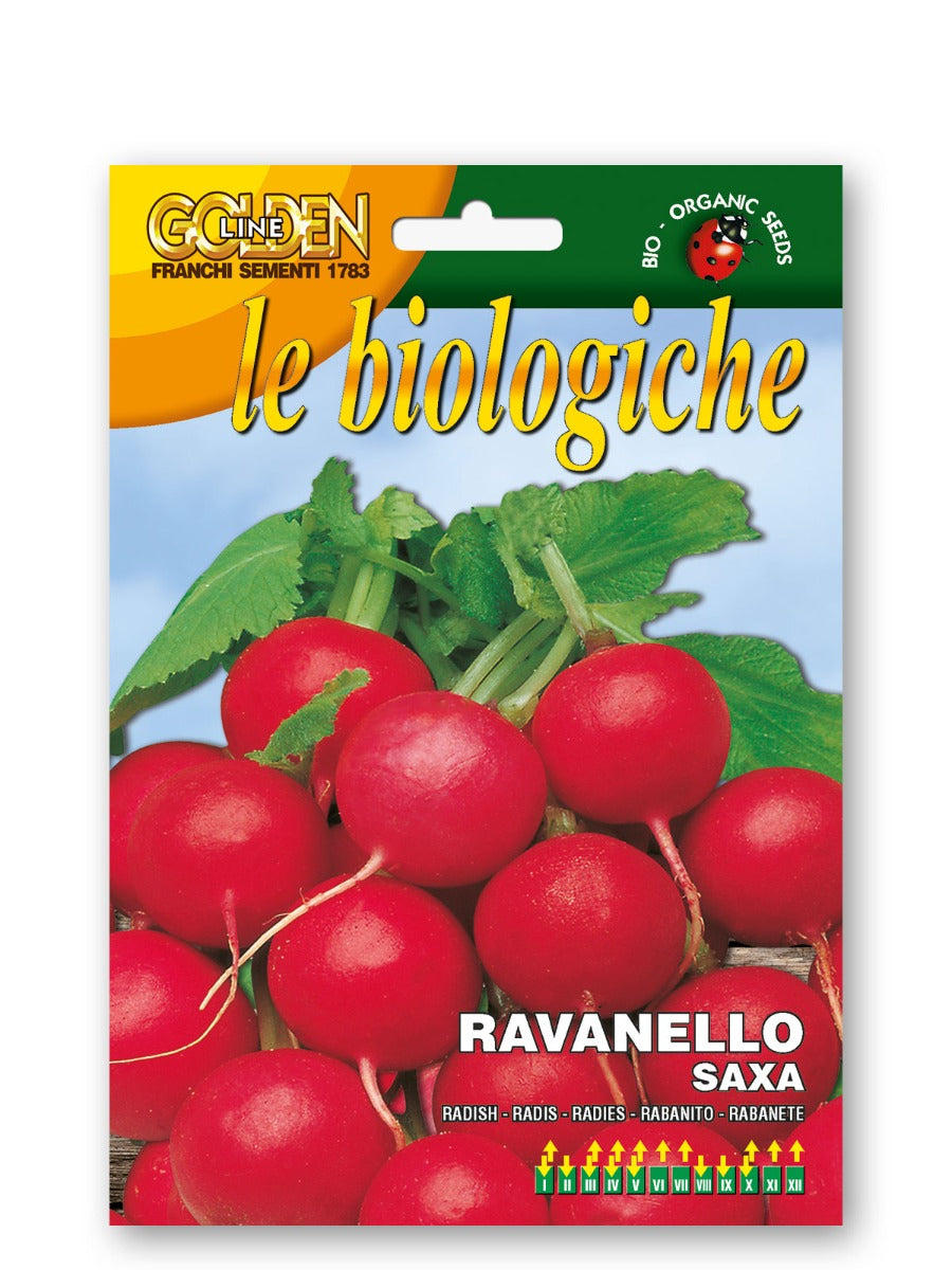 SEMI DI RAVANELLO SAXA