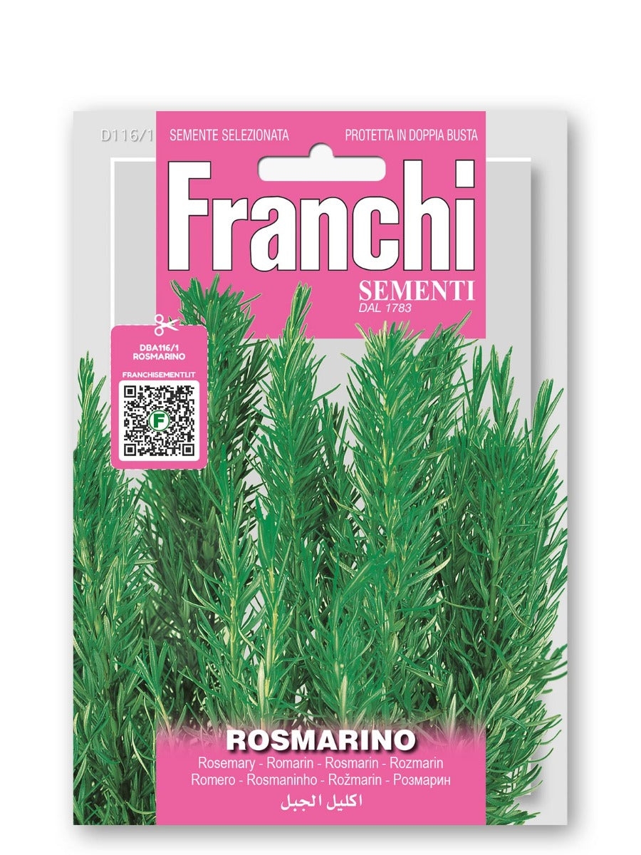 SEMI DI ROSMARINO