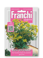 SEMI DI RUTA OFFICINALE