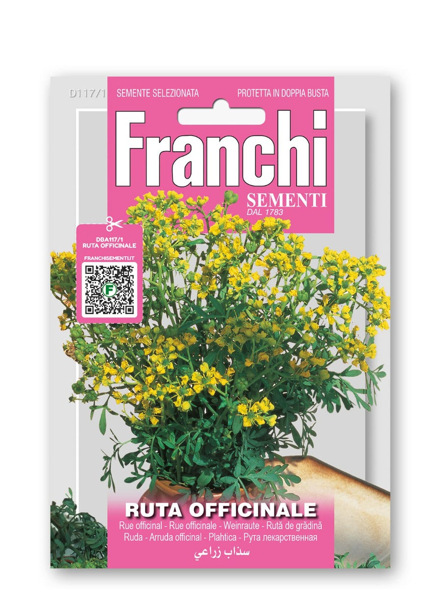 SEMI DI RUTA OFFICINALE