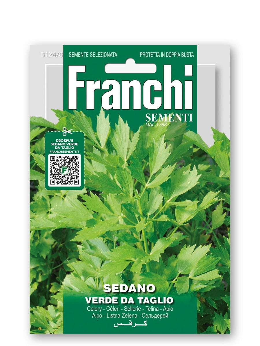SEMI DI SEDANO VERDE DA TAGLIO