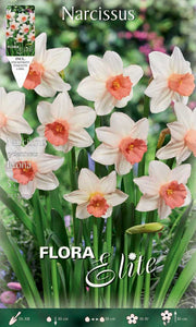NARCISO CYCLAMINEUS IWONA (CONFEZIONE DA 5 BULBI)