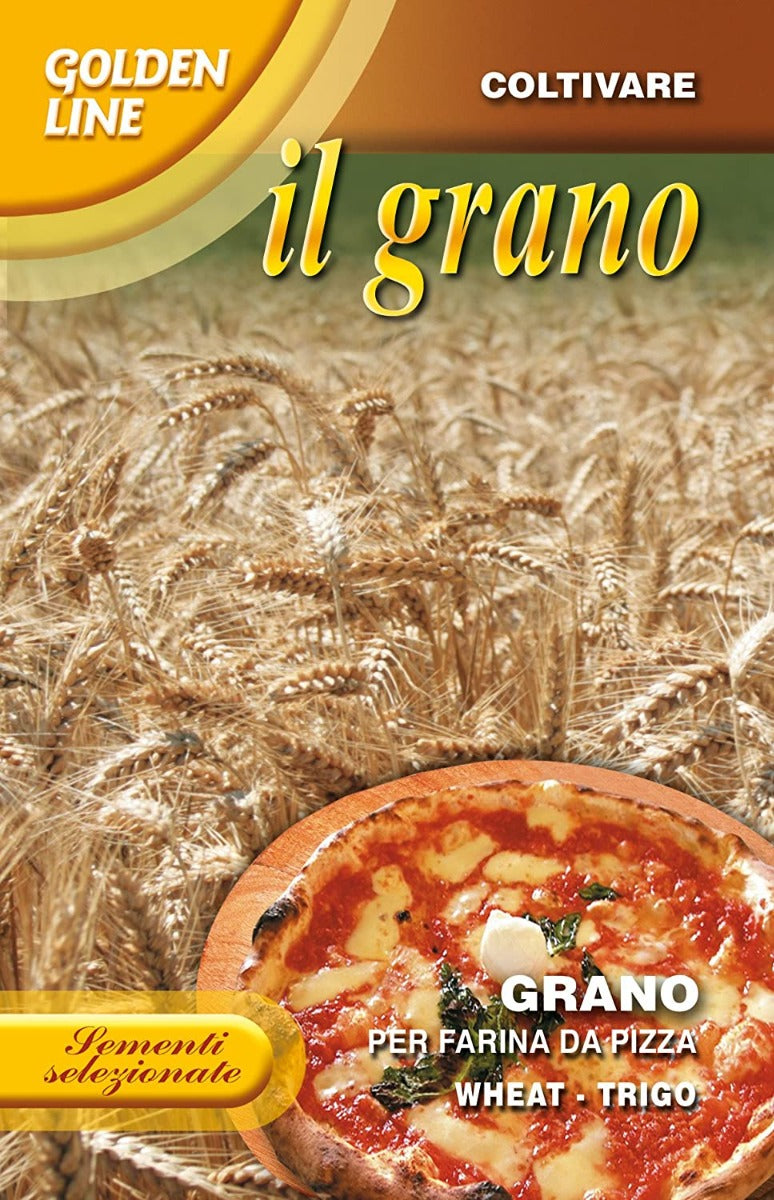SEMENTI GRANO PER FARINA DA PIZZA 100 GR