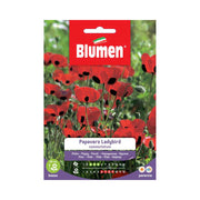 SEMI PAPAVERO LADYBIRD COMMUTATUM BLUMEN