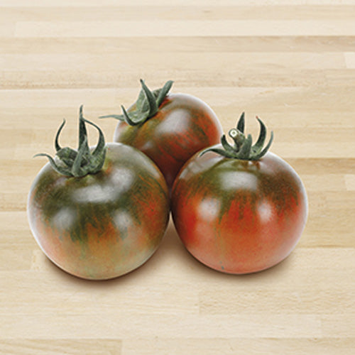 3 PIANTE IN VASO Ø10CM DI POMODORO NERO TIPO CAMONE SARDO QUINTO GUSTO