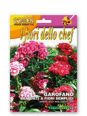 SEMI DI GAROFANO DEI POETI A FIORI SEMPLICI