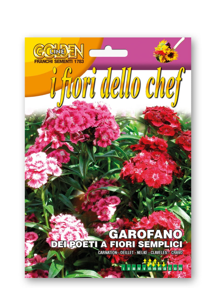 SEMI DI GAROFANO DEI POETI A FIORI SEMPLICI