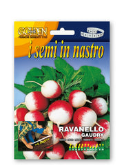 SEMI DI RAVANELLO GAUDRY