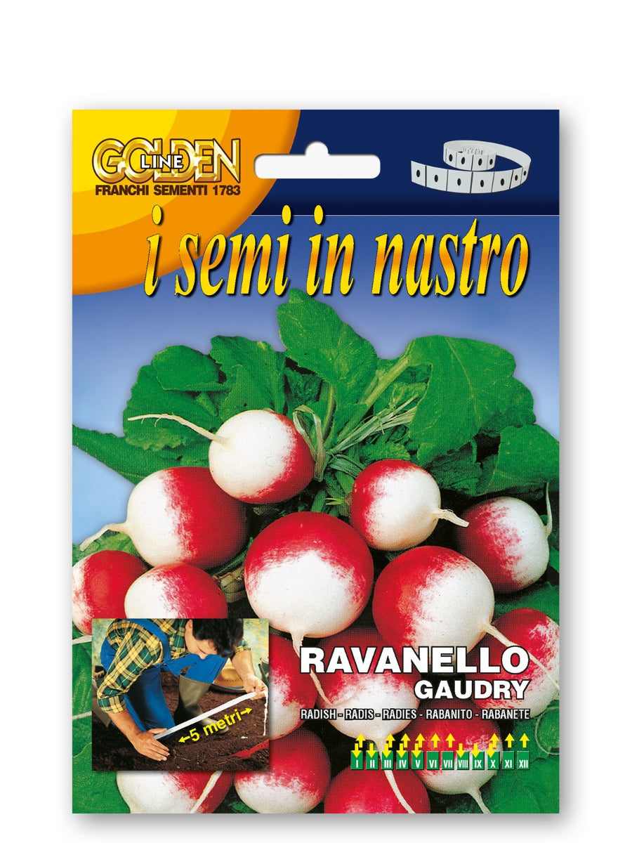 SEMI DI RAVANELLO GAUDRY