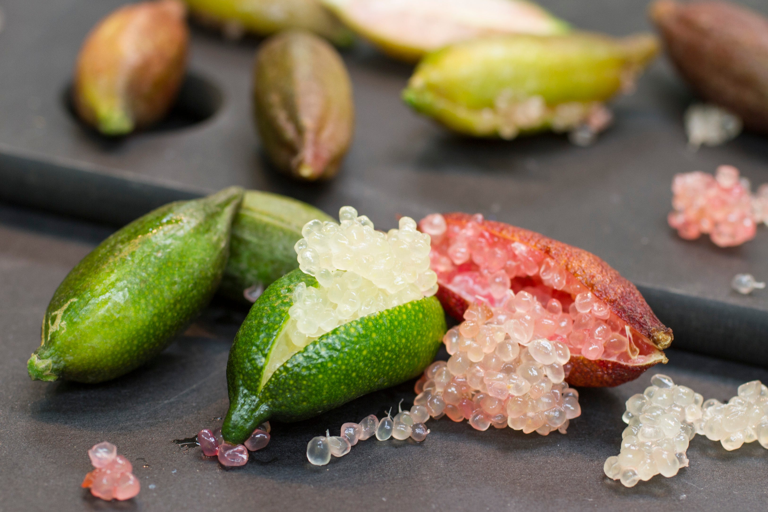LIMONE CAVIALE VERDE FINGER LIME IN VASO 22CM