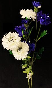 MAZZOLINO DI FIORDALISO BIANCHI E BLU PER COMPOSIZIONI 60CM