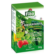 RINVERDENTE FITO 50GR